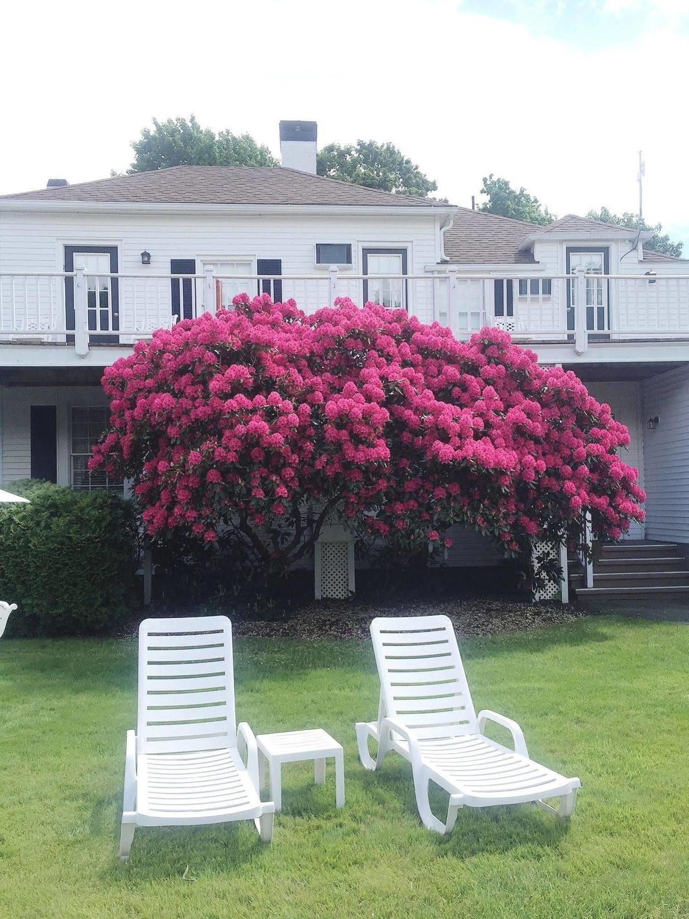 Shoreway Acres Inn Falmouth Dış mekan fotoğraf